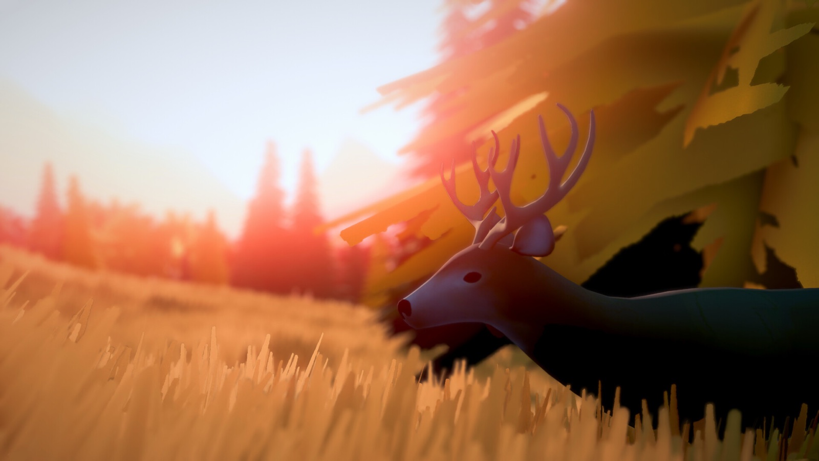 A stag standing in golden evening light at a meadow's edge